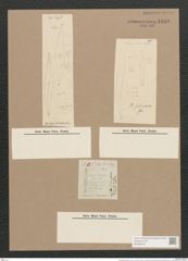 Pleurosigma salinarum Grun. (de-Toni-Nr.: Genus 13, Species 1055) Zeichnungen Sammlung Grunow Nr. 1898 (NHMW-BOT-W0369016)